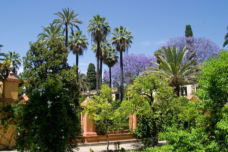 Alcazar (Andalusien - Sevilla)