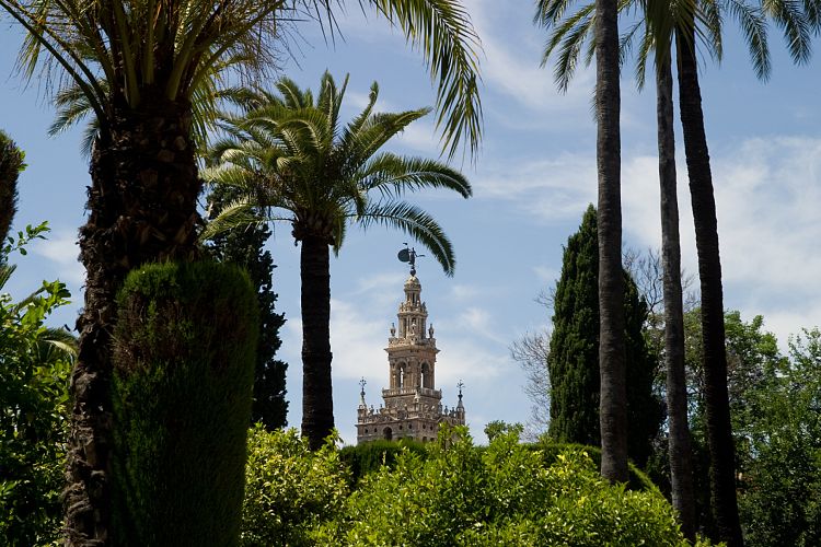 Alcazar (Andalusien - Sevilla)