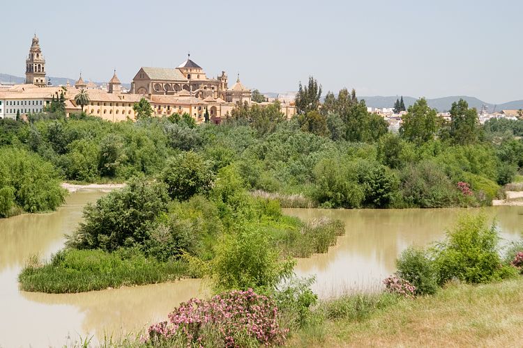 Am Guadalquivir (Andalusien - Sevilla - Cordoba)