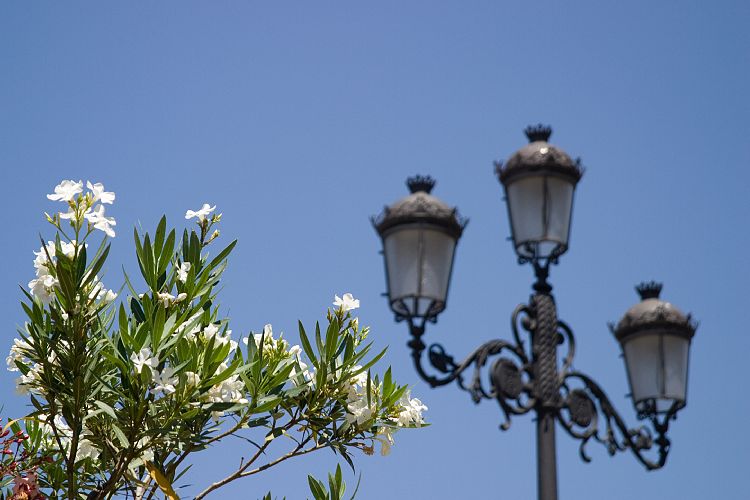 Am Guadalquivir (Andalusien - Sevilla - Cordoba)