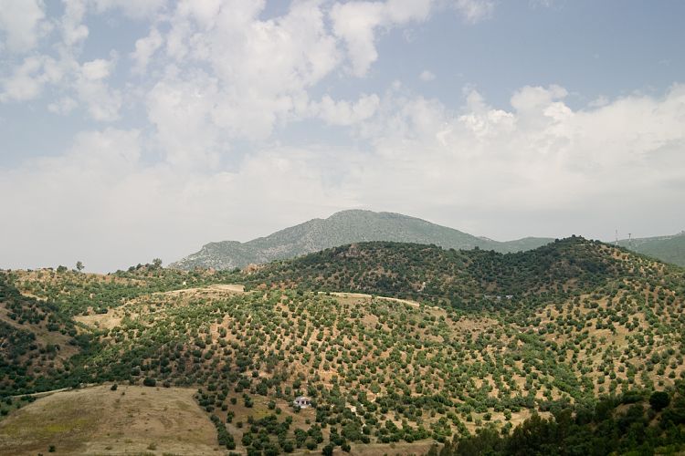 Am Stausee (Andalusien - Ronda - Jerez)