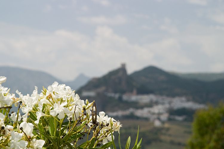 Am Stausee (Andalusien - Ronda - Jerez)
