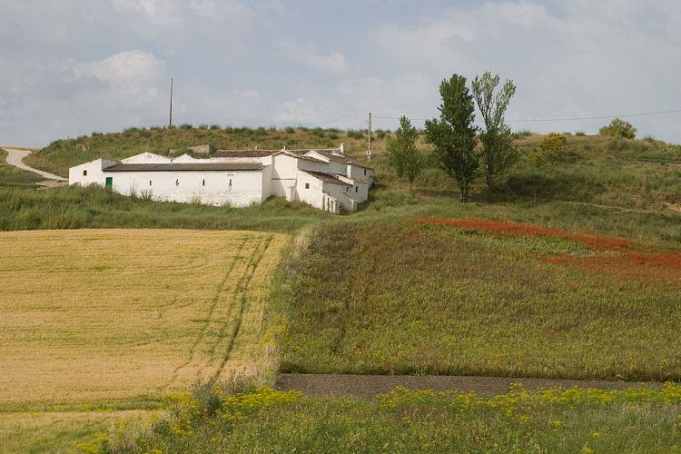 An der C-344 (Andalusien - Ronda - Jerez)