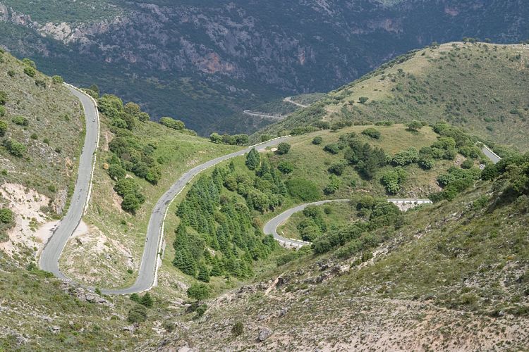 An der CA-531 nach Zahara (Andalusien - Ronda - Jerez)