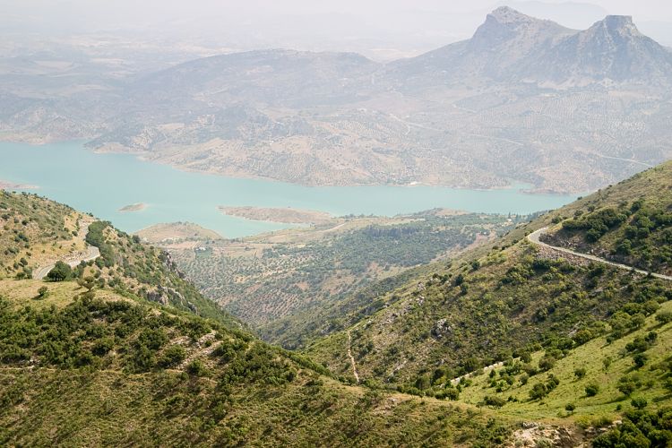 An der CA-531 nach Zahara (Andalusien - Ronda - Jerez)