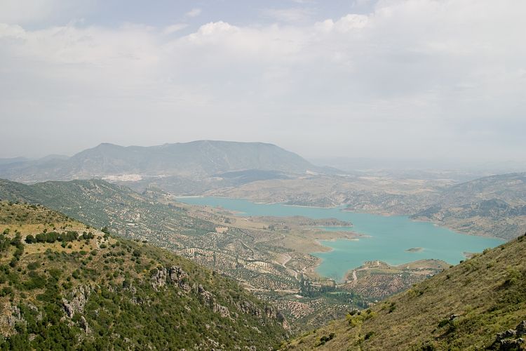 An der CA-531 nach Zahara (Andalusien - Ronda - Jerez)