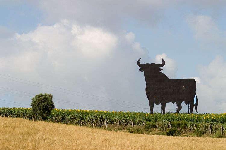 Bei Puerto de Santa Maria (Andalusien - Jerez und Cadiz)