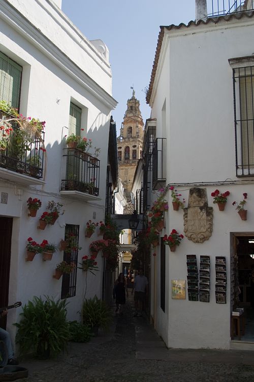 Calleja de las Flores (Andalusien - Sevilla - Cordoba)