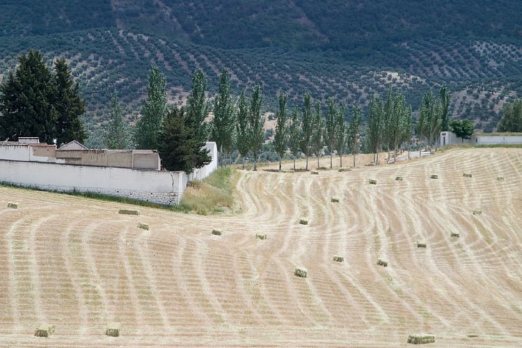 Campotejar (Andalusien - Cordoba - Granada)