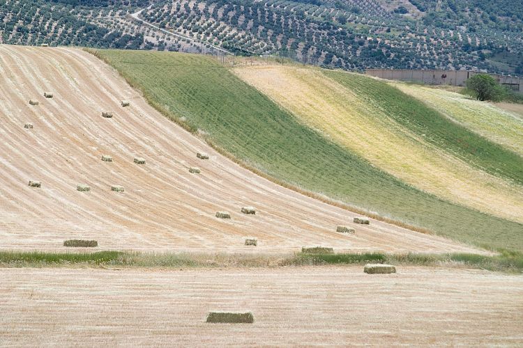 Campotejar (Andalusien - Cordoba - Granada)