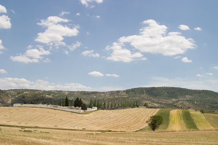 Campotejar (Andalusien - Cordoba - Granada)