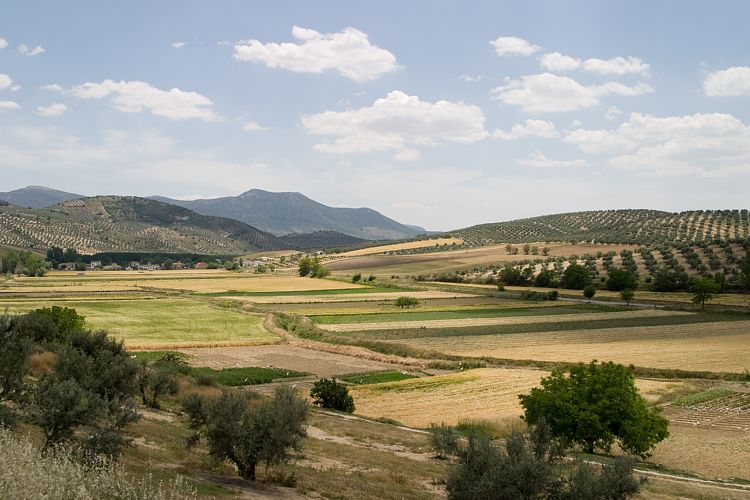 Campotejar (Andalusien - Cordoba - Granada)