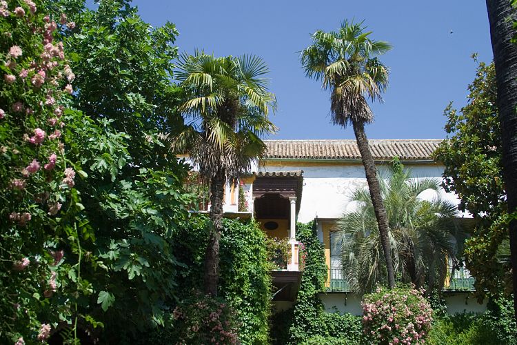 Casa de Pilatos (Andalusien - Sevilla)