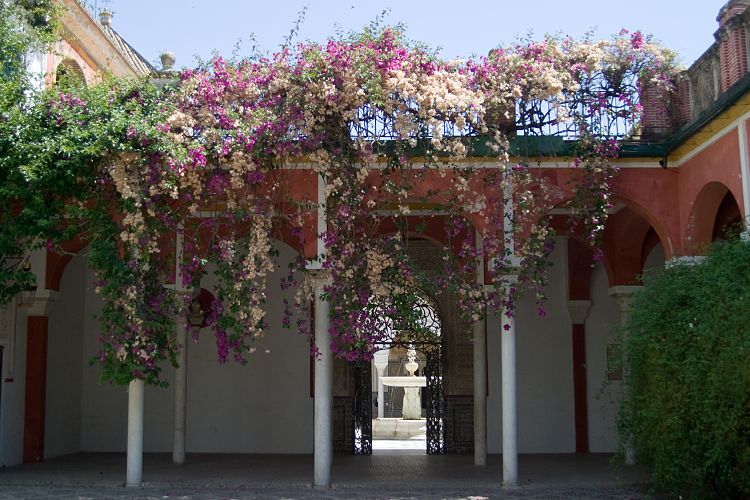 Casa de Pilatos (Andalusien - Sevilla)