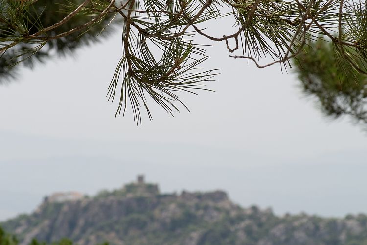 Gaucin (Andalusien - Malaga - Ronda)