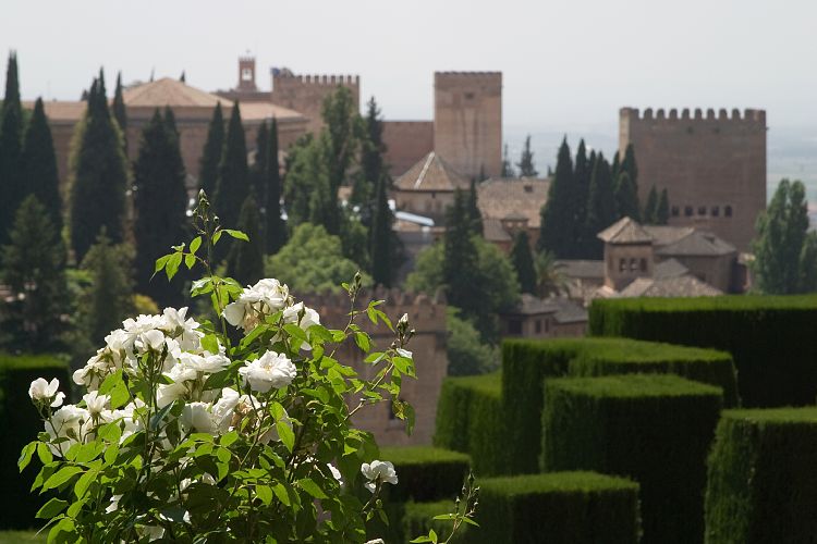 Generalife (Andalusien - Granada)