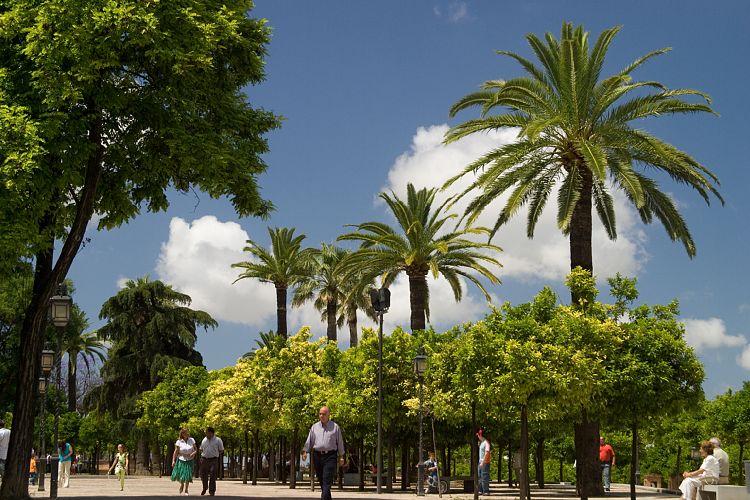 Jerez (Andalusien - Jerez und Cadiz)