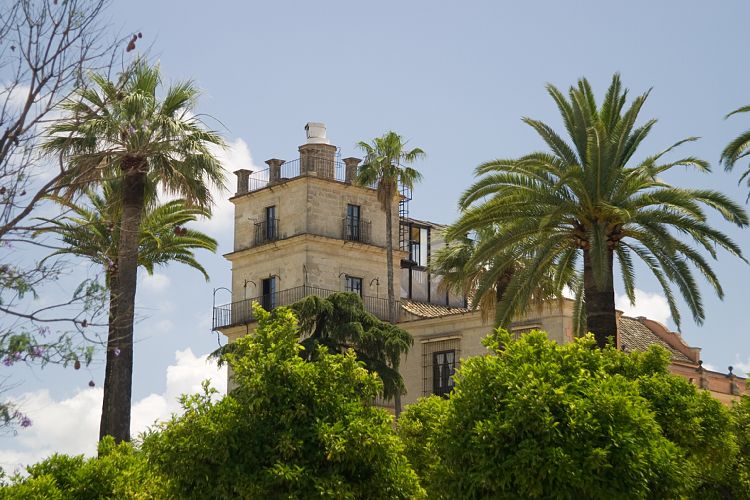 Jerez (Andalusien - Jerez und Cadiz)