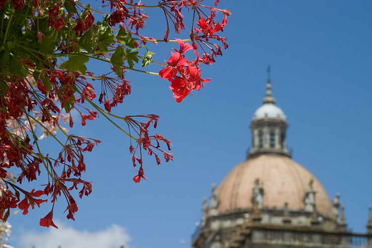 Jerez (Andalusien - Jerez und Cadiz)