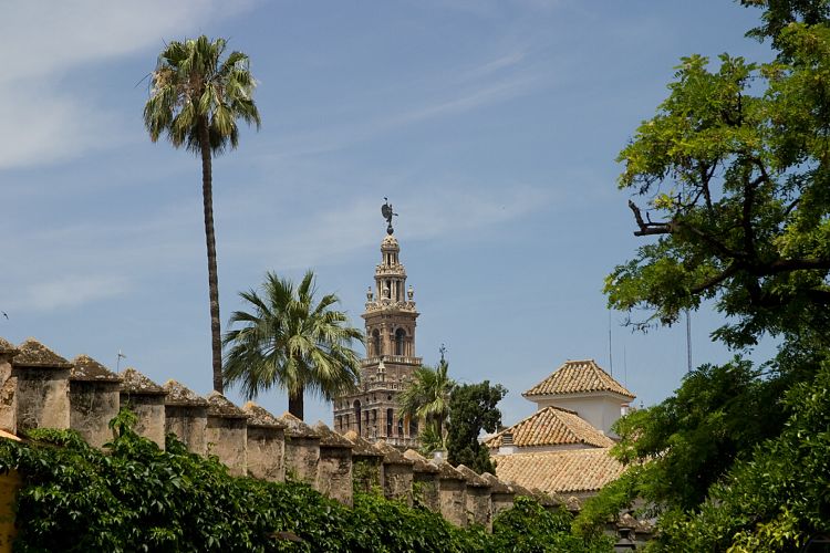 Kathedrale (Andalusien - Sevilla)