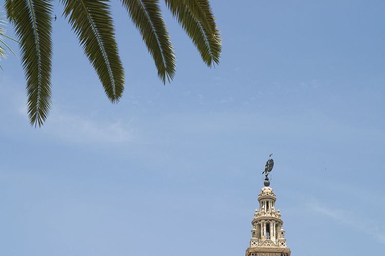 Kathedrale (Andalusien - Sevilla)