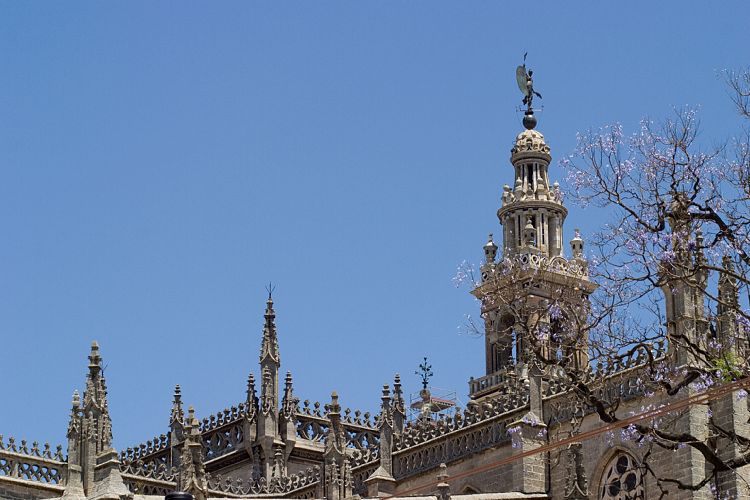 Kathedrale (Andalusien - Sevilla)