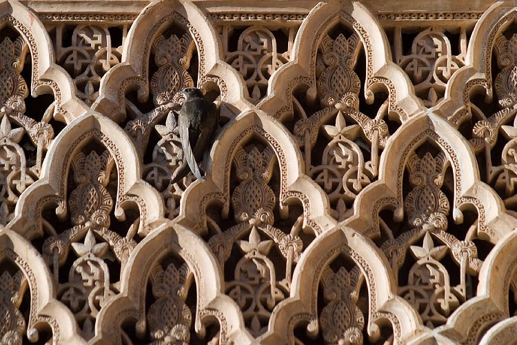 Lwenhof (Andalusien - Granada - Malaga)