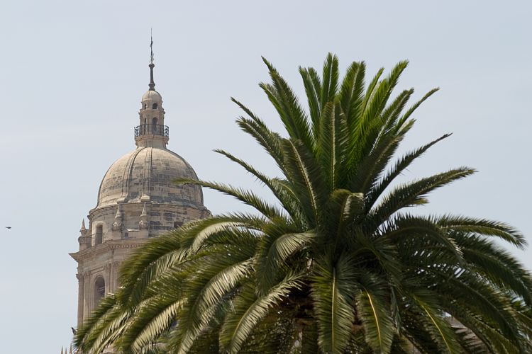 Malaga (Andalusien - Granada - Malaga)