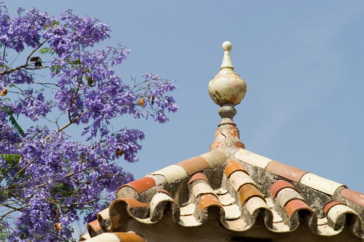 Malaga (Andalusien - Granada - Malaga)