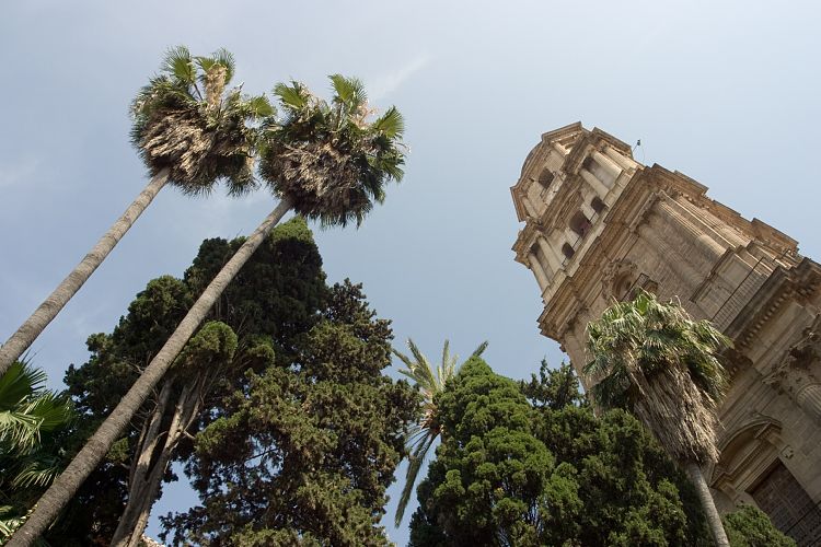 Malaga (Andalusien - Granada - Malaga)