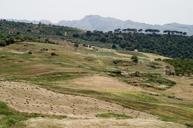 Ronda (Andalusien - Malaga - Ronda)