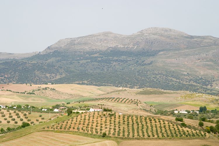 Ronda (Andalusien - Malaga - Ronda)
