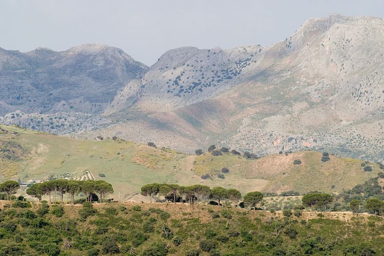 Ronda (Andalusien - Ronda - Jerez)