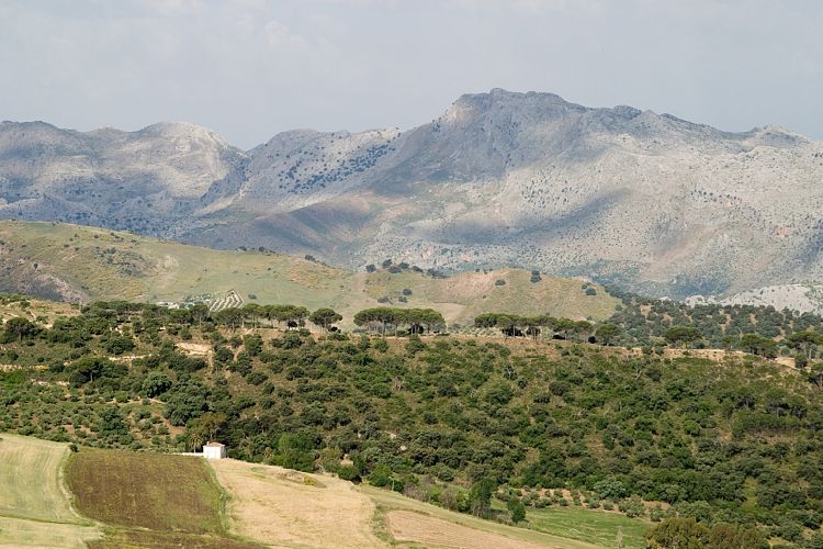Ronda (Andalusien - Ronda - Jerez)