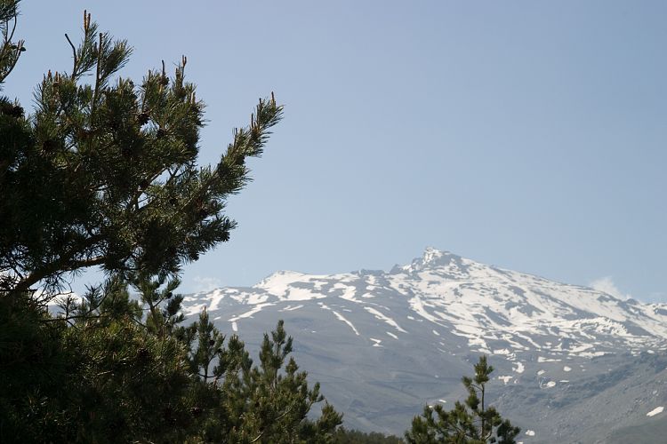 Sierra Nevada (Andalusien - Granada)