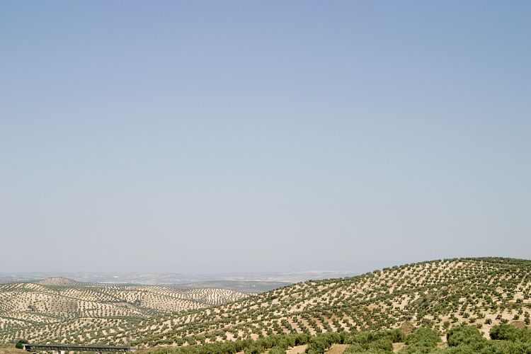 Torre del Campo (Andalusien - Cordoba - Granada)