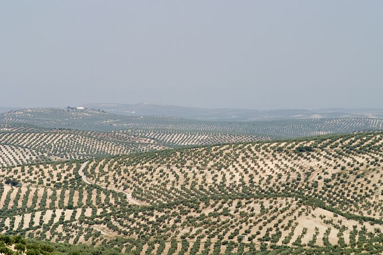 Torre del Campo (Andalusien - Cordoba - Granada)