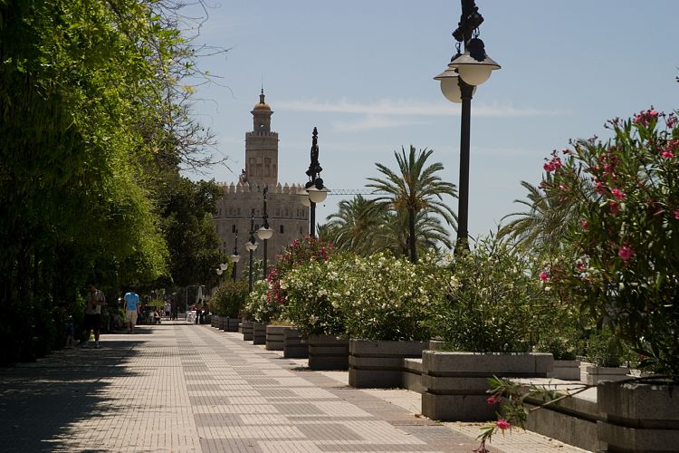 Torre del Oro (Andalusien - Sevilla)