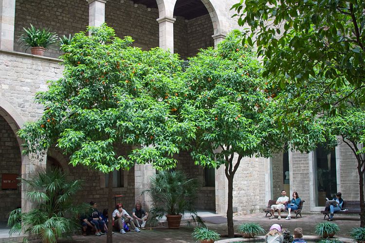 Barri Gotic (Barcelona - Tag 3)