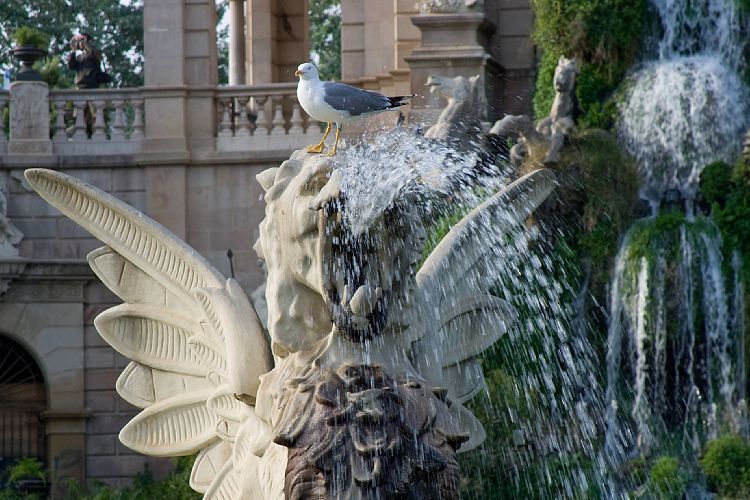 Parc de la Ciutadella (Barcelona - Tag 2)