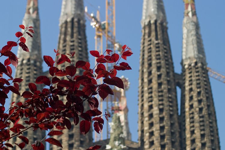 Sagrada Familia (Barcelona - Tag 1)