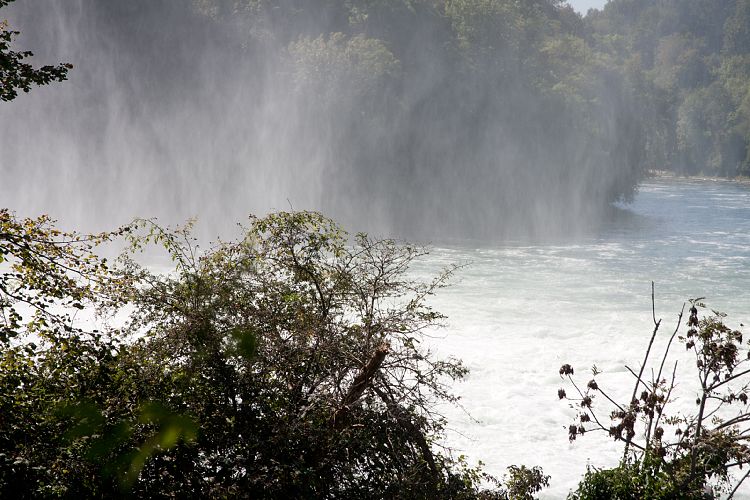 Rheinfall bei Schaffhausen (Basel - 20100911)