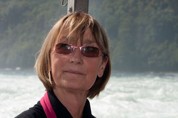 Rheinfall bei Schaffhausen (Basel - 20100911)