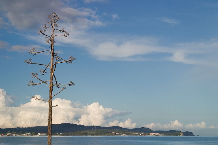 Acharavi Strand (Korfu - Osten)