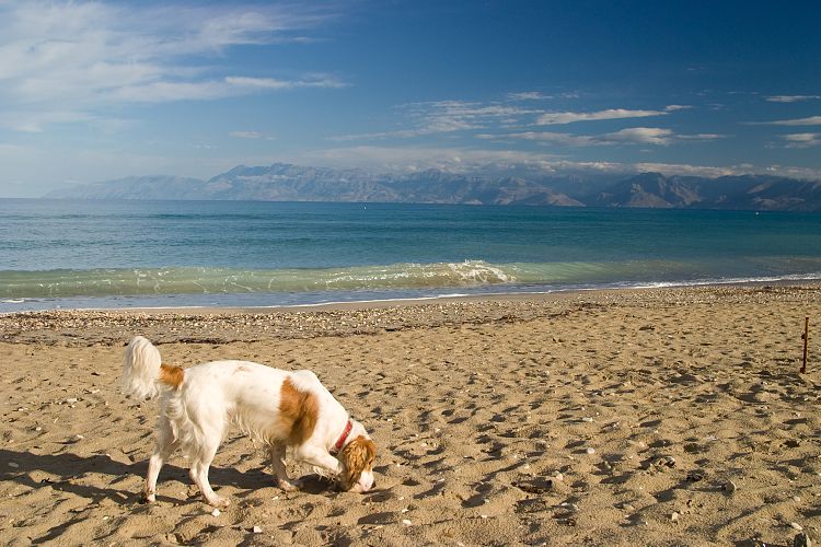 Acharavi Strand (Korfu - Osten)