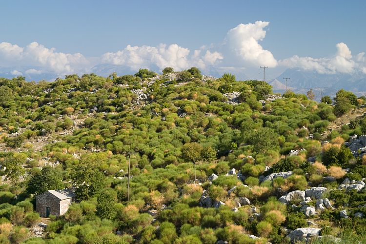 Anapaftina - Perithia (Korfu - Paleo Perithia)