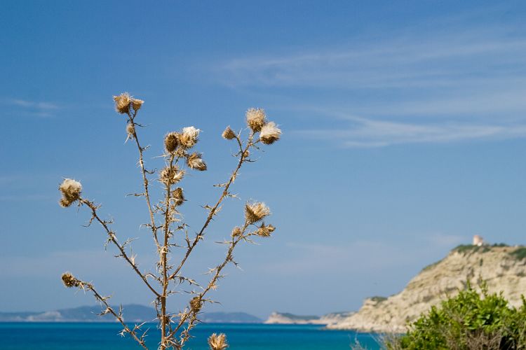 Arillas (Korfu - Nordwesten)