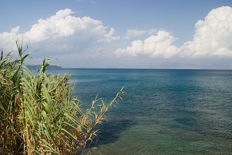 Bei Benitses (Korfu - Sden)