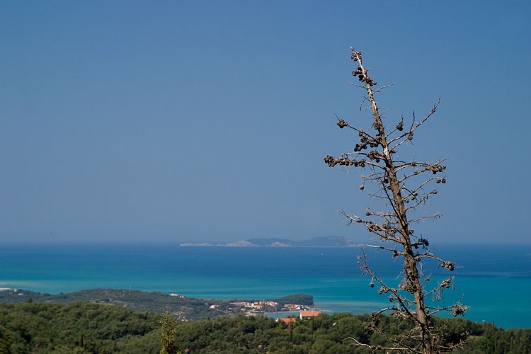 Bei Episkepsi (Korfu - Fahrt zum Pantokrator)