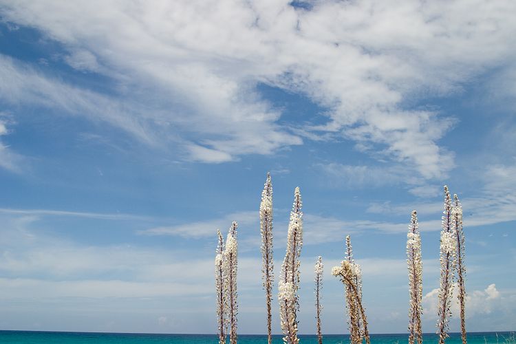 Strand von Acharavi (Korfu - Strandwanderung)